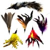 Pet Fit For Life Multi Piece Replacement Feathers Pack Plus