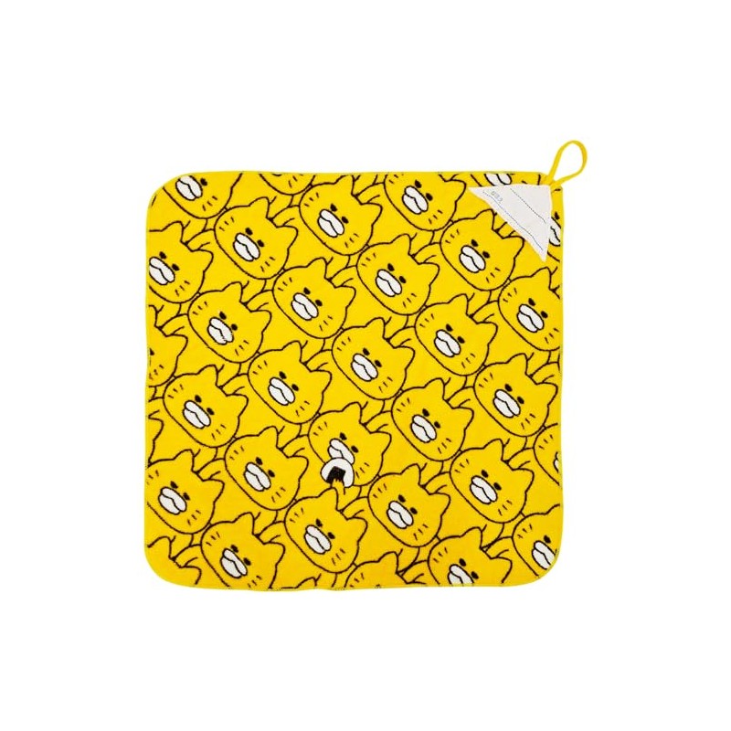 Hayashi WK409400 Loop Towel, Approx. 13.4 x 13.4 inches (34