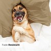King Size Pillow Cases Set of 4 - Extra Soft