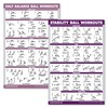 Palace Learning 2 Pack, Half Balance Ball Workout Poster +