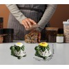 Turtle Salt And Pepper Shakers Set Ceramic Salt And Pepper