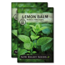 Sow Right Seeds - Lemon Balm Seeds Non-GMO Heirloom Seeds with Full Instructions for Planting an Easy to Grow herb Garden, Indoor or Outdoor; Great Gardening Gift (2)
