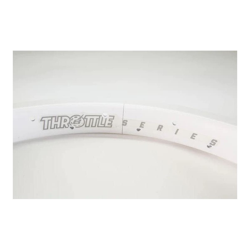 Eastern Bikes Throttle Series 20" BMX 36H Double Wall Alloy