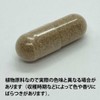 Electic e176 Maria Thistle (Milk Thistle, Sawfish) 600 mg x