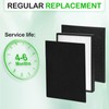 2-Pack P700BB Replacement Filter Cartridges Compatible with Brondell Pro Air