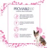 Nutramax Proviable Health Supplement For Cats And Dogs