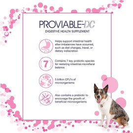 Nutramax Proviable Health Supplement For Cats And Dogs