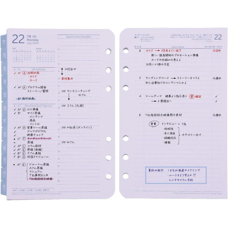 Franklin Planner 86595 Original Daily Refill, 12-Month Edition, Starts January