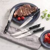 Cangshan HELENA Series German Steel Forged 4-Piece Fine-Edge Steak Knife