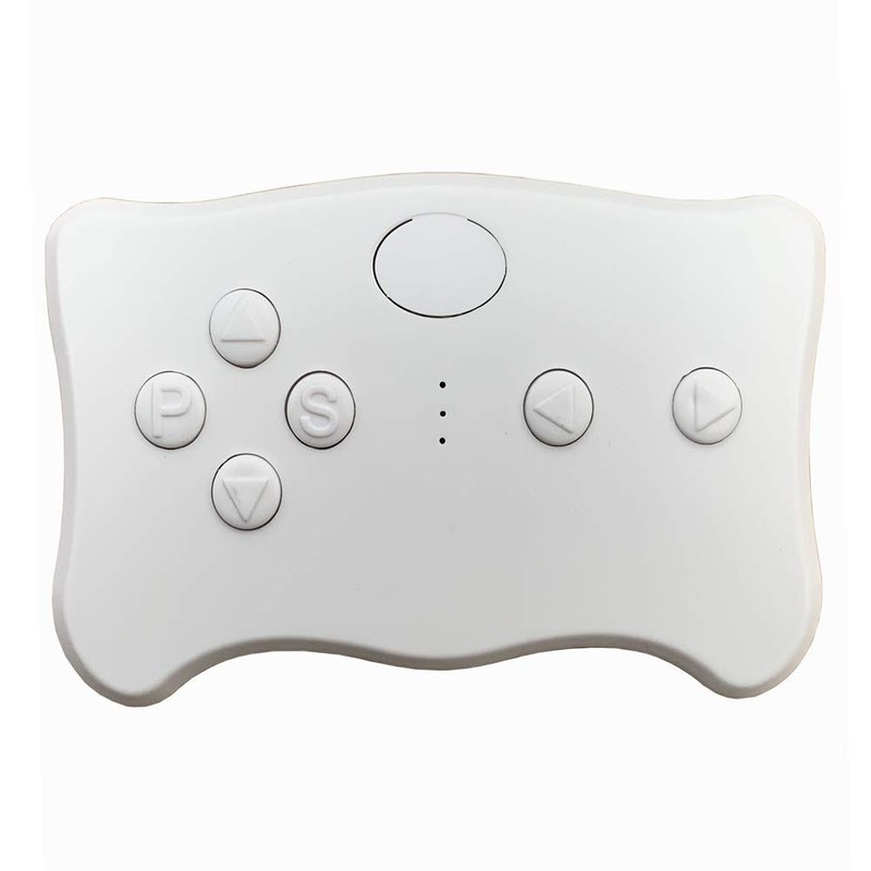 weelye RX23 (RX18) 12V 2.4G Bluetooth Remote Control and Receiver