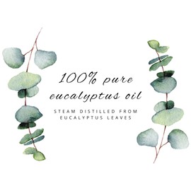 Eucalyptus 80/85 Essential Oil - 1 Gallon - Plastic Jug - 100% Pure & Uncut - GreenHealth
