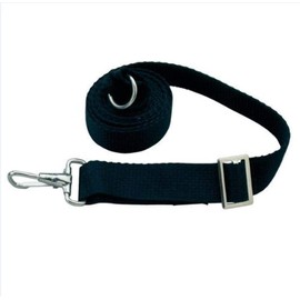 TAYLOR MADE PRODUCTS Adjustable Tie Down Strap 6' Black