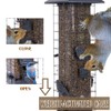 Squirrel Proof Bird Feeders for Outdoors, Metal Wild Bird Feeder