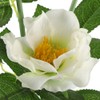 Solar Power LED Camellia Flower Light for Outdoor Yard Garden