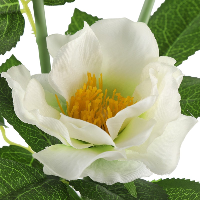 Solar Power LED Camellia Flower Light for Outdoor Yard Garden