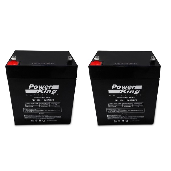 Pulse Bolt Scooter Replacement Batteries Beiter DC Power