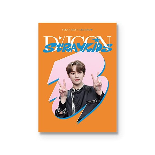 dreamus STRAY KIDS Dfesta mini edition LEE KNOW