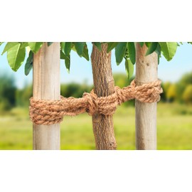 Meister Kokos-Seil 15 m - Zum Binden, Dekorieren & Verpacken - Pflanzenschonendes Bindematerial - Reißfest & witterungsbeständig - Aus natürlichen Kokos-Fasern / Paketschnur / Gartenkordel / 9968800