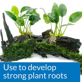 API 3 Pack Root Tabs Freshwater Aquarium Plant Fertilizer, 10 Tablets Per Box