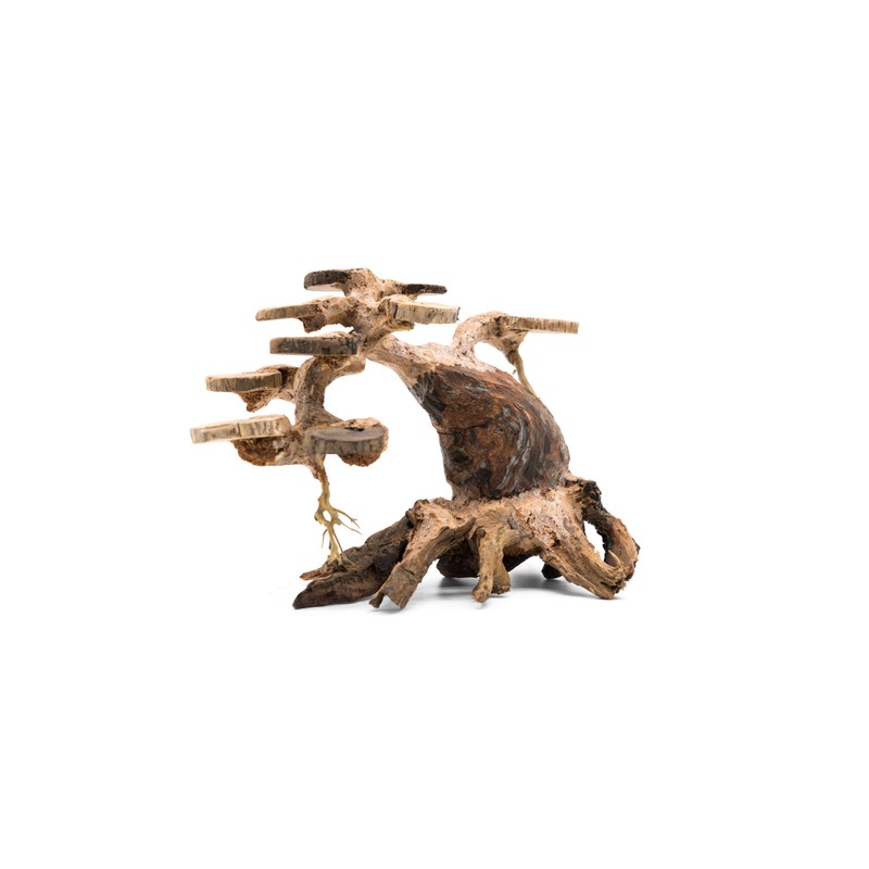 SubstrateSource Aquarium Bonsai Tree Driftwood Small (200S)