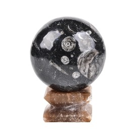AMOYSTONE Decorative Ball Natural Healing Crystals Sphere Moroccan Orthoceras Fossil Ball Polished Divination Ball 81-90mm Stone Crystal Sphere with Stone Stand for Meditation, Yoga