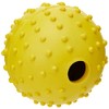 Classic Pet Products Rubber Pimple Ball with Bell, 60 mm,