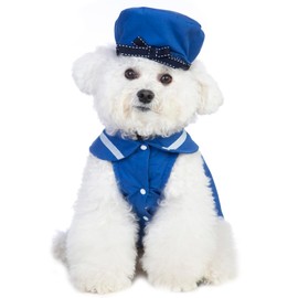 Coomour 2PCS Blue Dog Dress Summer Dog Clothes for Small Dogs Girl Cute Pet Cat Outfits Puppy Tutu Sundress Dogs Tutu Dress with Beret Hats Dogggie Skirt Spring (M)