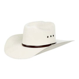 Twister Twister 5X Natural 4" Brim with Eyelets Straw Cowboy Hat Natural 75/8