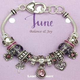 Falari Birthstone Bracelet Multi-Color Charm Beads Silvertone June OB07234-JUN