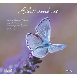 Mindfulness 2024 DuMont Wall Calendar with the Most Important Holidays Format 38.0 x 35.5 cm