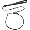 BeauGo| Slip Leads for Dogs | Dog Training Leash |