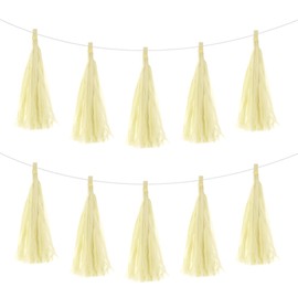 MECCANIXITY 20Pcs Cream Tassel Garland Banner with Rope Tissue Paper Tassels Party DIY Kits for Anniversary Wedding Birthday Party