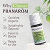 Pranarom - Oregano Essential Oil (5ml) - 100% Pure Natural
