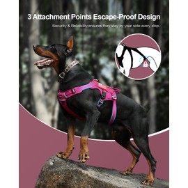 FAYOGOO Tactical Dog Harness for Large Medium Dog - Mesh Breathable Dog Harness Escape Proof with Handle - No Pull Military Service Dog Vest with Removable Patches for Walking,Training,Hiking