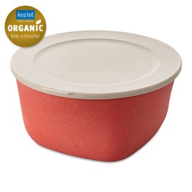 Connect Box 4 with Lid 4 L Natural Coral