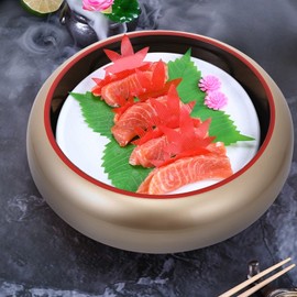 Kichvoe Japanese Sushi Plates Set Dry Ice Sushi Dish Sashimi Tray Molecular Cuisine Dip On Ice Sushi Serving Platter -10.6 * 2.3In
