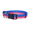 (Large, Flag II) - Native Pup American Flag Dog Collar