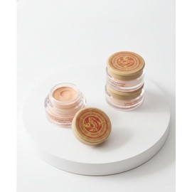 SKINFOOD Salmon dark circle concealer (3 colors) 1433131 No. 0 / SKINFOOD 연어 다크서클 컨실러(3 colors) 1433131 0호
