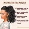 AISI BEAUTY Brown Curly Ponytail Extension, Dark Brown with Brown