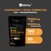 Wellthy NAD y Tranresveratrol 180 Caps. Nicotinamide Adenine Dinucleotide, Resveratrol