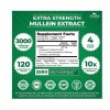 Zazzee Extra Strength Mullein 10:1 Extract, 120 vegan capsules, Respiratory