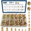 Vifmy Metric & SAE Rivet Nut Assortment Kit(920 Pcs), M3