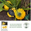 Yellow Bush Scallop Summer Squash Seeds (Pattypan, Cucurbita pepo var.