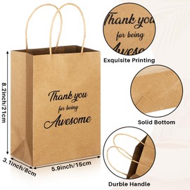 Qilery 18 Pcs Kraft Paper Gift Bags with Handles for Employee Coworker Colleague Volunteer Teacher Nurse, Thank You for Being Awesome Gift Bags, 5. 9 x 3. 1 x 8. 3 Inches