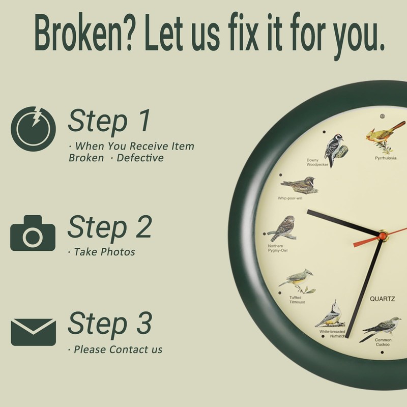 Belinlen 13 Inch Singing Bird Wall Clock Light Sensor Bird