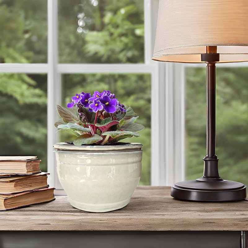 Dphagesy African Violet Pots Self Watering Round Ceramic Violet Pot