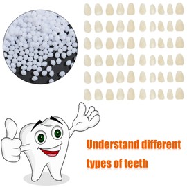 60 Piece Temporary Dental Repair Set Malleable Artificial Teeth and 50 g Thermal Beads, Multi-Purpose False Teeth Dentures for Making It Yourself Filling Dental Beads to Fix Missing
