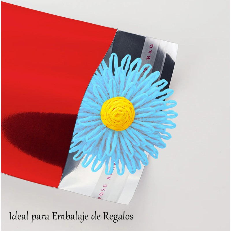 Metallic Envelopes with Self Seal Metallic Bags for Gifts, Office