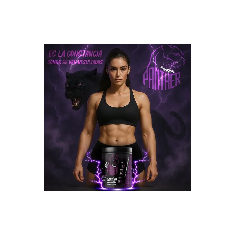 Creatina Panther Protein En Polvo 500g Varios Sabores