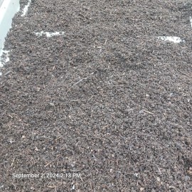 fishalotfarms 10 Pounds Freshly Sifted Worm Castings 100% Organic Redwiggler